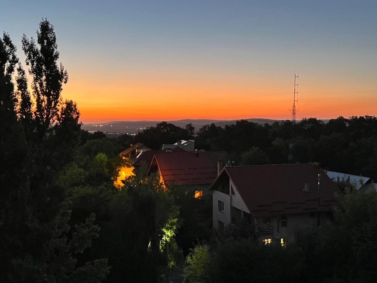 Altheda Living Zamca Apartment Suceava Bagian luar foto